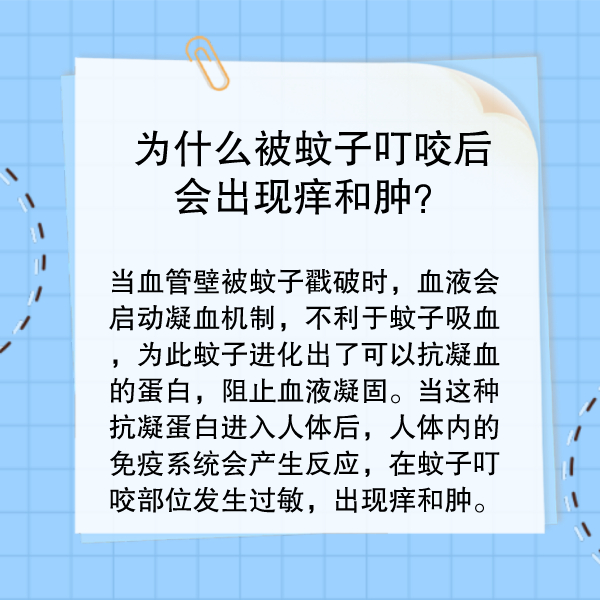 蚊子叮咬怎么办？这样驱蚊最管用！