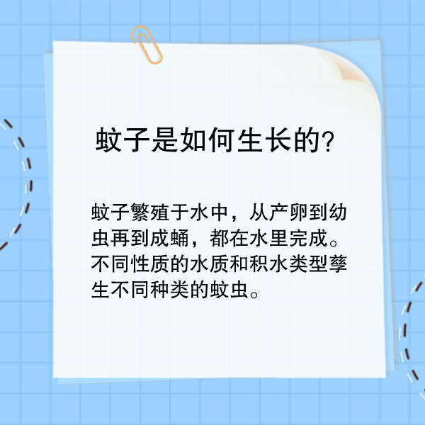 蚊子叮咬怎么办？这样驱蚊最管用！