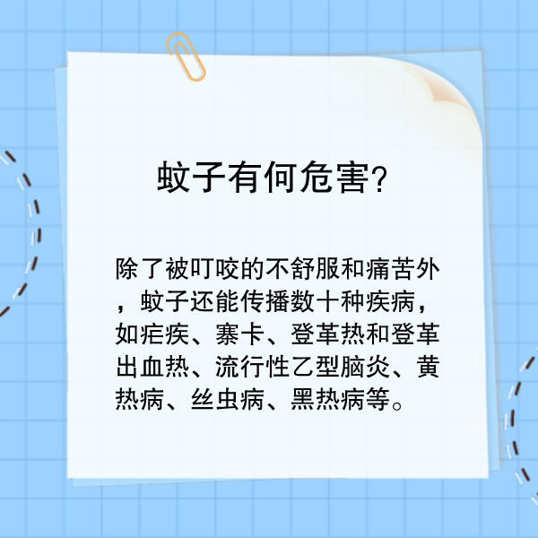 蚊子叮咬怎么办？这样驱蚊最管用！