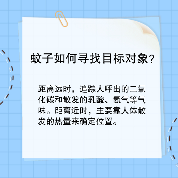 蚊子叮咬怎么办？这样驱蚊最管用！