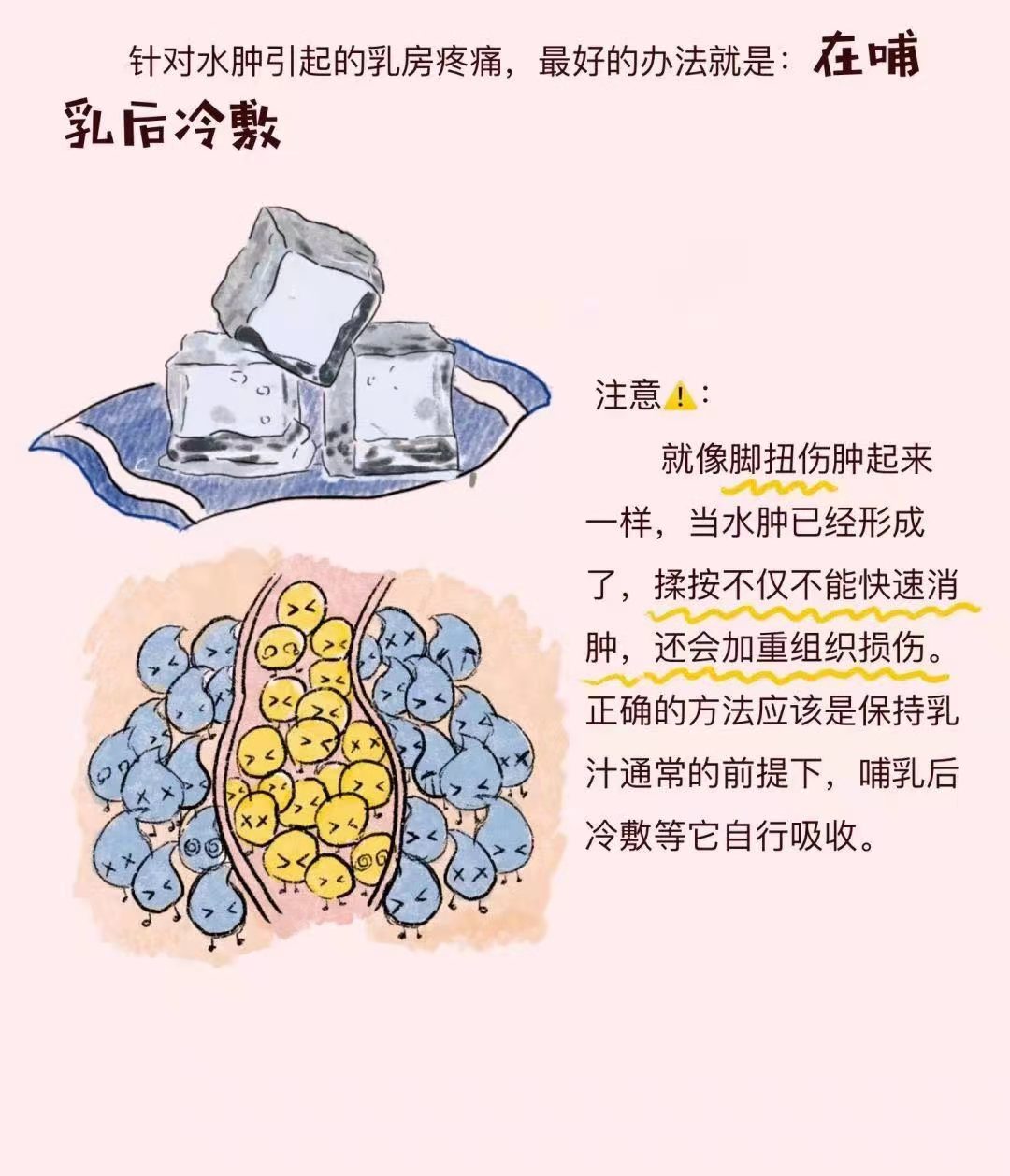 世界母乳喂养周|哺乳期乳房痛怎么办？——水肿篇