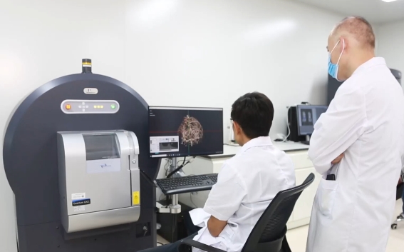 衰老真的可干预？这项科研成果给出硬核答案