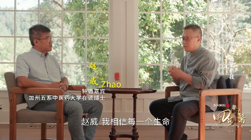 中医药“扬帆出海”有了新图景