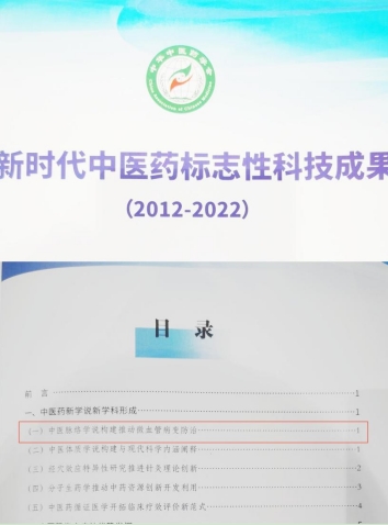 “中医脉络学说构建推动微血管病变防治”入选新时代中医药标志性科技成果