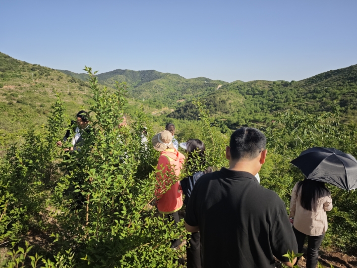 以岭药业连翘种植基地通过GAP延伸检查