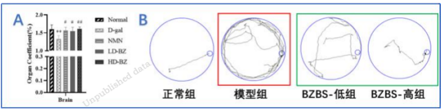 探索抗衰老研究新途径 促进有生命质量的老龄化