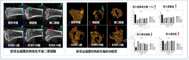 探索抗衰老研究新途径 促进有生命质量的老龄化