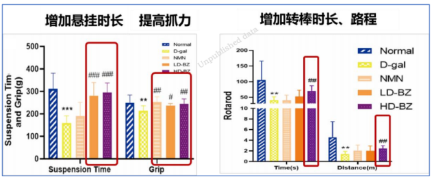 探索抗衰老研究新途径 促进有生命质量的老龄化