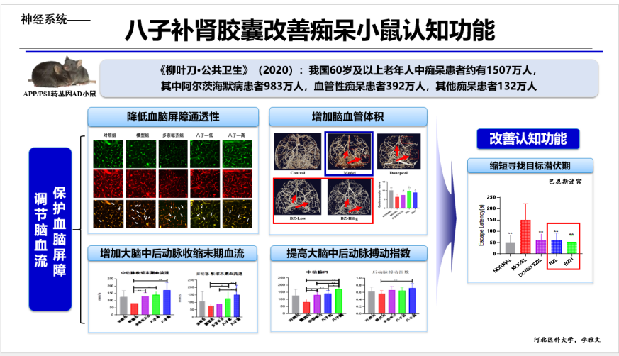 从115岁老人未患老年痴呆症谈大脑抗衰老之策